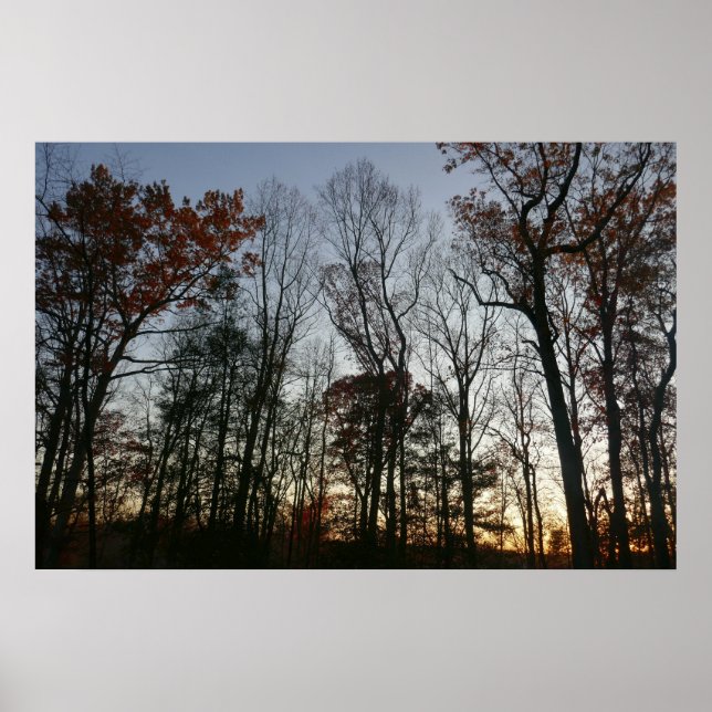 November Sunset Poster (Vorne)