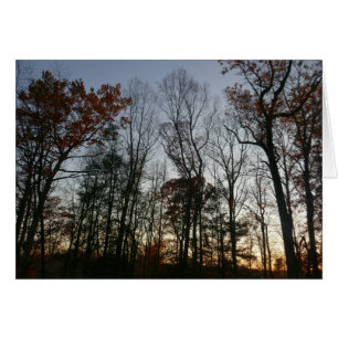 Novembersonne