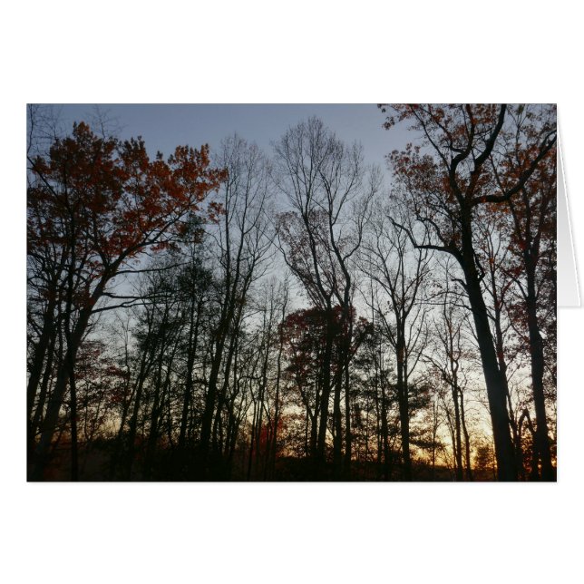 Novembersonne (Vorderseite (Horizontal))
