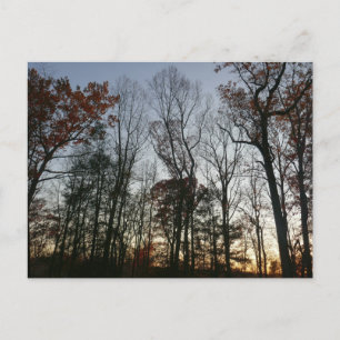 Novembersonne Postkarte