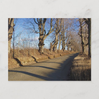 Novemberstraße Postkarte