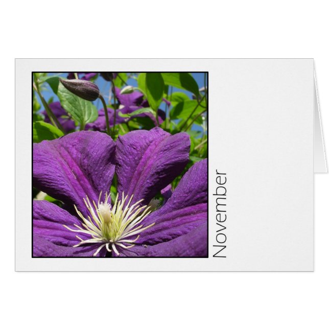 Novembre (Devant horizontal)