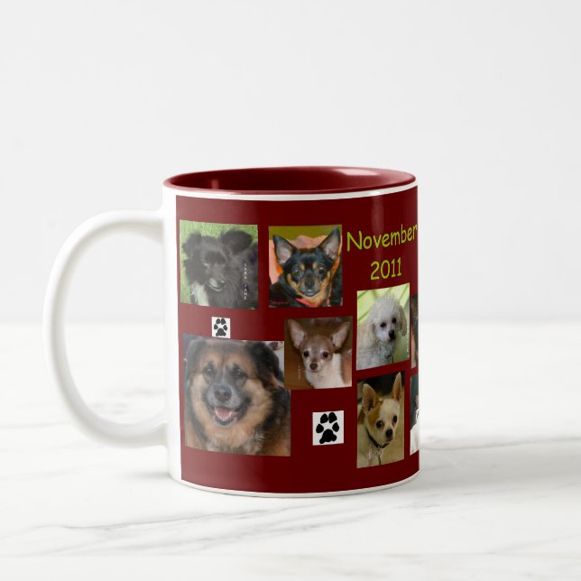 novembre 2011 tasse (Gauche)