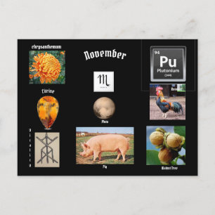 novembre Scorpio carte postale Mois de naissance