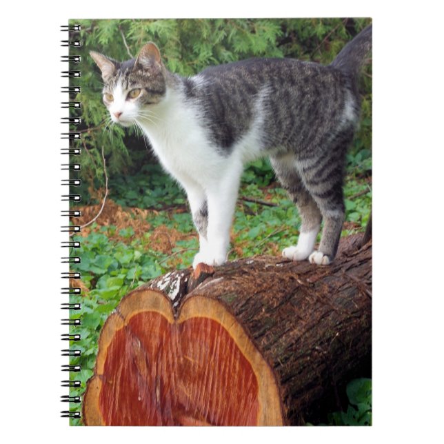 Now You Have My Attention - Kitty Notebook Notizblock (Vorderseite)