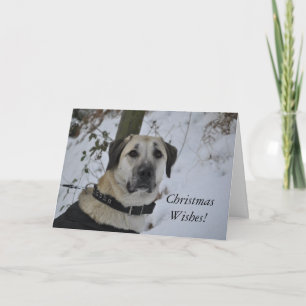 Nowzad Kilo-Weihnachtskarte Feiertagskarte