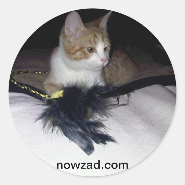 Nowzad Pablo Sticker (Vorderseite)