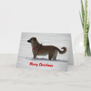Nowzad Rettungs-Weihnachtskarte Feiertagskarte