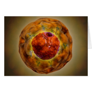 Noyau Cellulaire Avec Chromosome 3