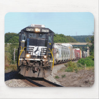 NS 8798 führt Westbound NS 309 bei Bort Rd Mousepad