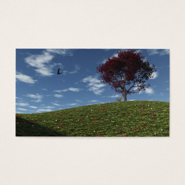 Nuages Aller À La Voile Par Signet (Devant)