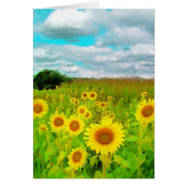 Nuages aujourd'hui, carte de tournesol, (Devant)
