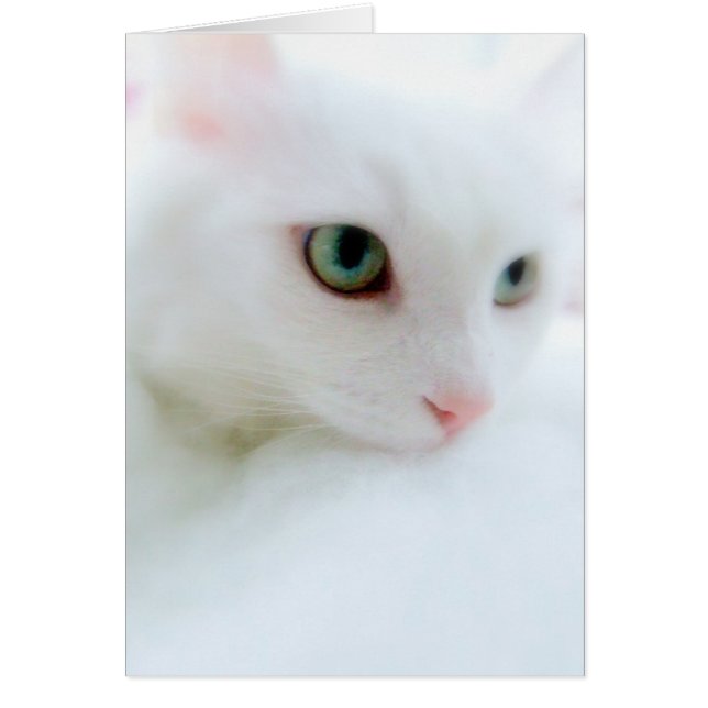 Nuages doux (Devant)