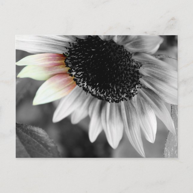 nuances de cartes postales (Devant)