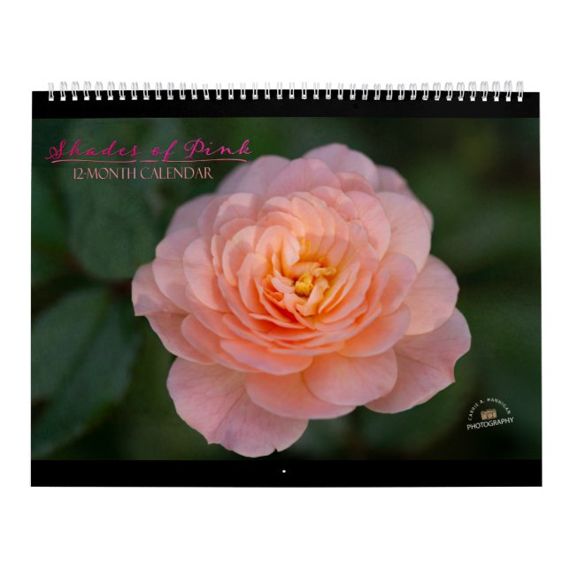 Nuances de rose Calendrier 12 mois (Protection)