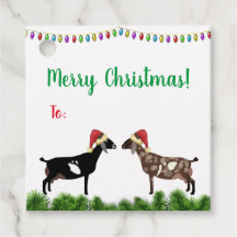 Nubian Dairy Goat Weihnachten