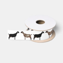 Nubian Dairy Goat White
