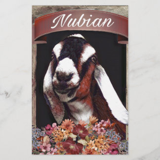 Nubian Goat