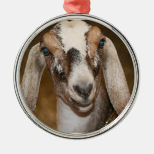 Nubian Molkereiziegen-Damhirschkuh-weißes Silbernes Ornament