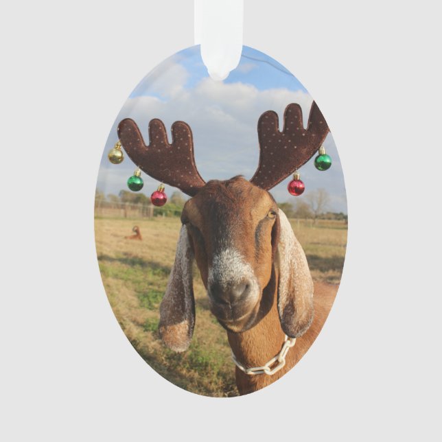 Nubian Ren-Weihnachtsverzierung Ornament (Vorderseite)