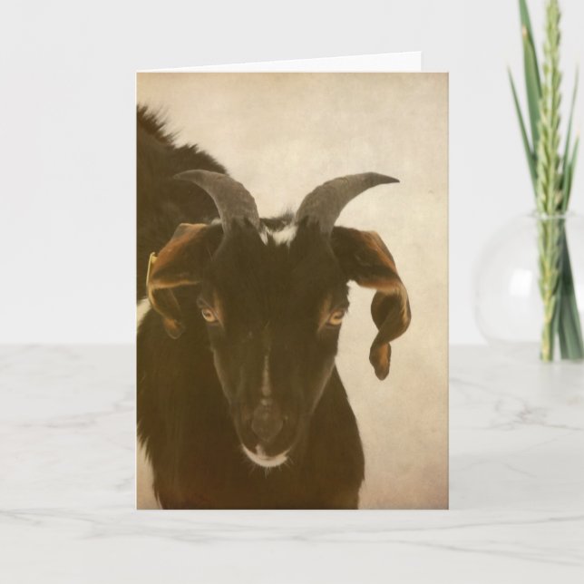 nubisch karte (Vorderseite)