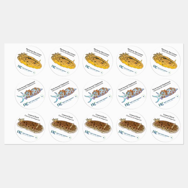 Nudi Stickers #2 Etiketten (Blatt)