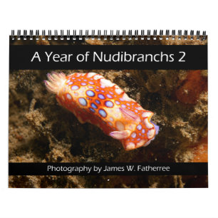 Nudibranch-Wandkalender 2 von J. Fatherree Kalender
