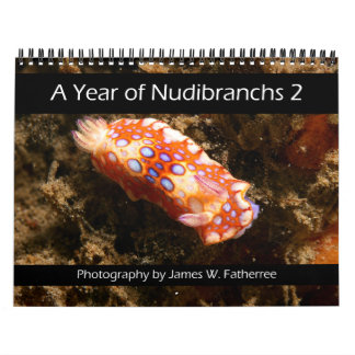 Nudibranch-Wandkalender 2 von J. Fatherree Kalender