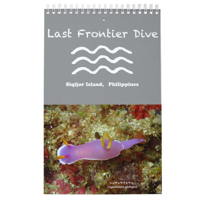 Nudibranchs à Siquijor : Calendrier Bureau (Protection)