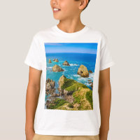 Nugget Point Inseln, Neuseeland