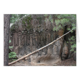 Nuit des Gigglers marcheurs