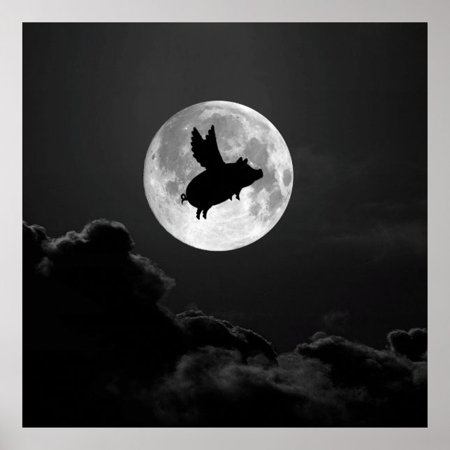 nuit du cochon volant - affiche 20" x 24" (Devant)