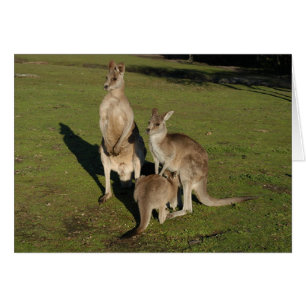 Nuklear "Roos