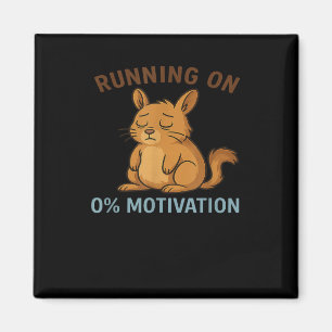 Null Motivation Magnet
