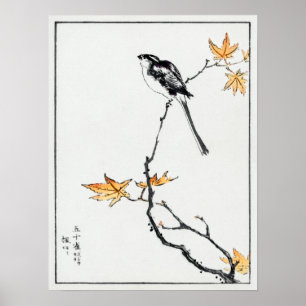 Numata Kashu Japanischer Langschwanz Tit und Ahorn Poster