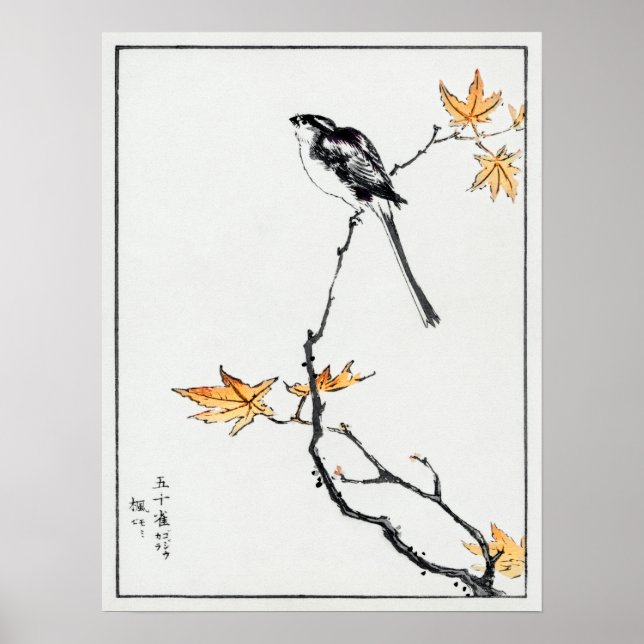 Numata Kashu Japanischer Langschwanz Tit und Ahorn Poster (Vorne)