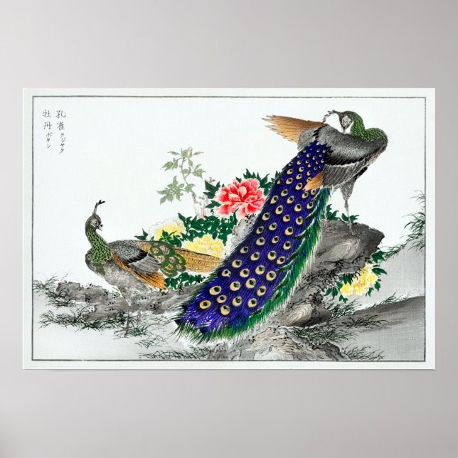 Numata Kashu Peacock und Peony Poster (Vorne)