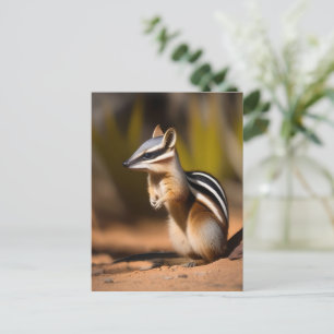 Numbat australien, Carte postale