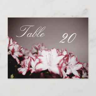 Numéro de la table de fleurs Carte postale