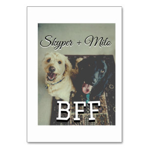 Numéro De Table Animaux de compagnie amis besties ajouter nom anim