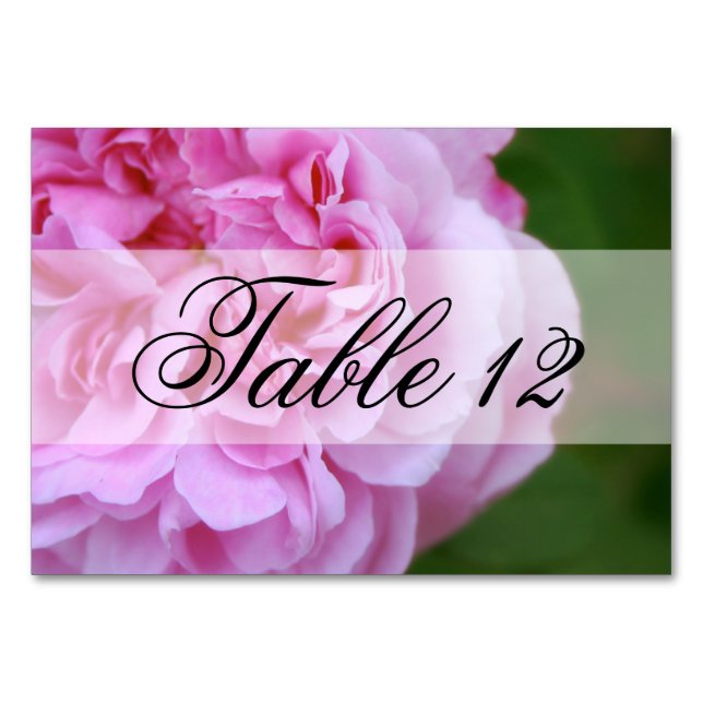 Numéro De Table Camellia rose et Mariage de ruban (Devant)