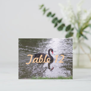 Numéro de table Cygne noir