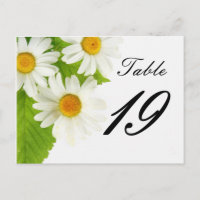 numéro de table de marguerite blanche