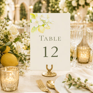 Numéro de table de mariage Jardin de fleurs de cit