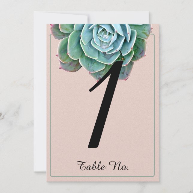 Numéro de table de mariage succulent rose poudré (Devant)