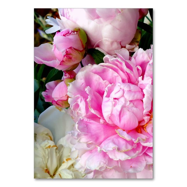 Numéro De Table Elégant rose peony blanc floral jardin photo (Par défaut)