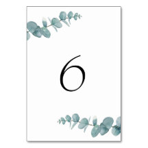 Eucalyptus minimaliste botanique