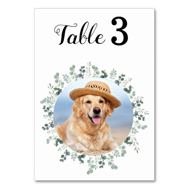 Numéro De Table Eucalyptus Moderne Élégant Mariage photo (Par défaut)