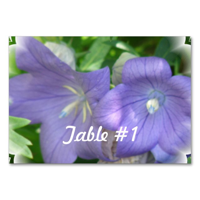 Numéro De Table Fleur de ballon (Devant)