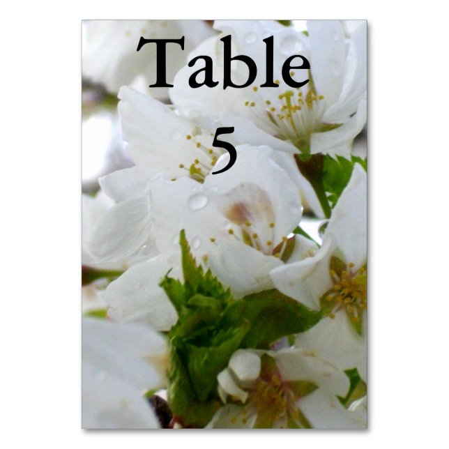 Numéro De Table Fleurs blanches, cerisier à fleurs (Par défaut)